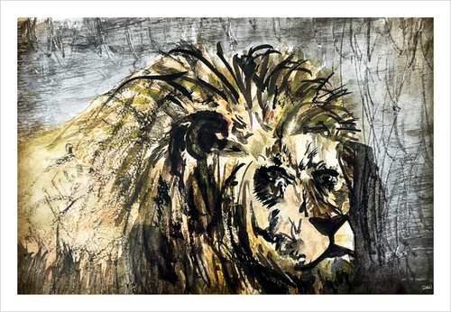 Weary Lion watercolor animal painting Animal Kingdom Dawn Richerson 8x12