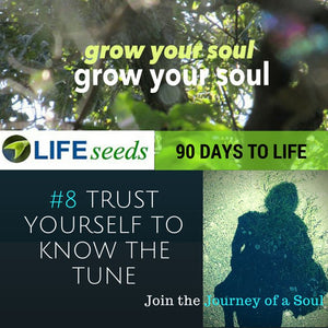 90 Days to Life Journey Life Path 