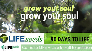 90 Days to Life Journey Life Path 