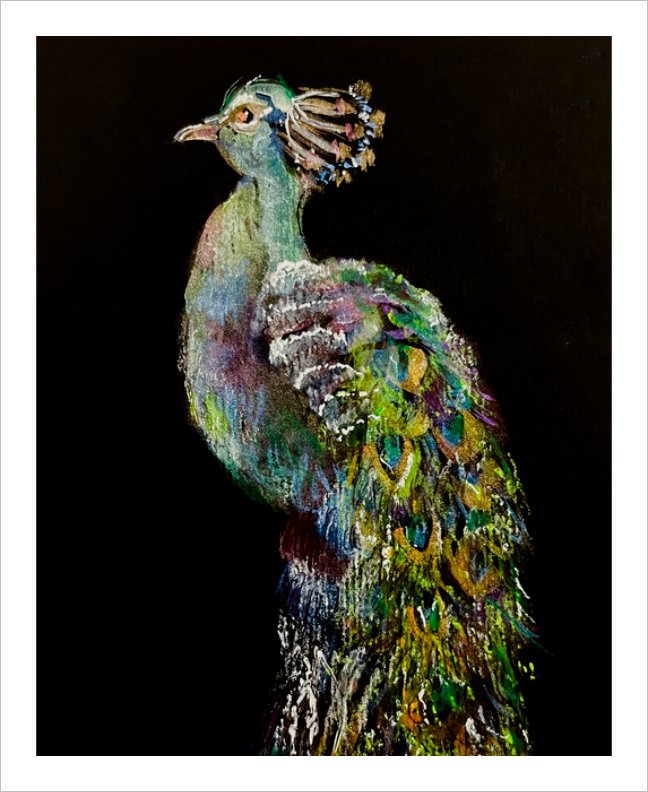 A Night Out Peacock Metallic Watercolor painting by Virginia artist Dawn Richerson black background