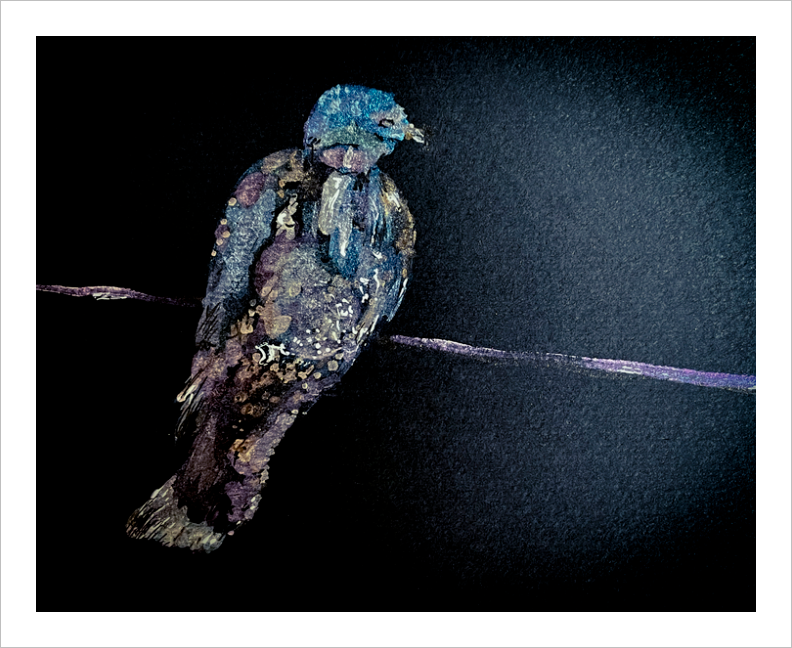 Bird on a Wire Metallic Painting Night bird painting by Virginia artist Dawn Richerson