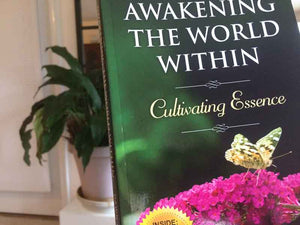 Awakening the World Within Book Books by Dawn 