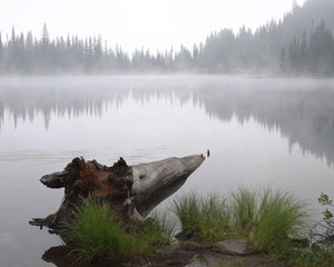 Horse, Haze, Horizon ☼ Soul of Place Reflection Lake {Photo Print} Photo Print New Dawn Studios 