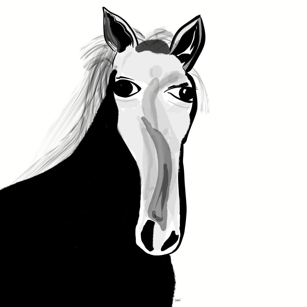 black and white horse head drawing