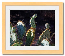 Load image into Gallery viewer, Present to Our Prickly Past - Spirit of the Southwest cactus photo - The Nature of Love Series - Dawn Richerson 8x10 framed
