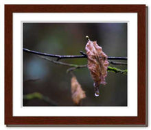 Load image into Gallery viewer, Shared Sorrow ☼ Soul of Nature {Photo Print} Photo Print New Dawn Studios 8x10 Framed 
