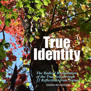 True Identity Book Books by Dawn 
