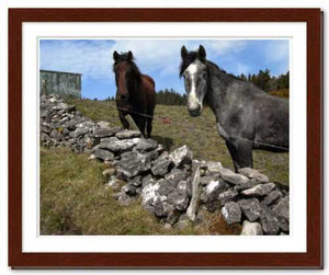 Two Horses at Knocknarae ☼ Soul of Ireland {Photo Print} Photo Print New Dawn Studios 11x14 Framed 