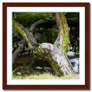Upraised ☼ Faithscapes & Soul of Nature {Photo Print} Photo Print New Dawn Studios 12x12 Framed 