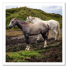 Load image into Gallery viewer, Working Together ☼ Soul of Ireland Horses {Photo Print} Photo Print New Dawn Studios 10x10 Unframed 
