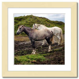 Working Together ☼ Soul of Ireland Horses {Photo Print} Photo Print New Dawn Studios 8x8 Framed 
